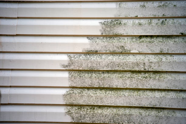 Best Furniture Removal  in Vardaman, MS